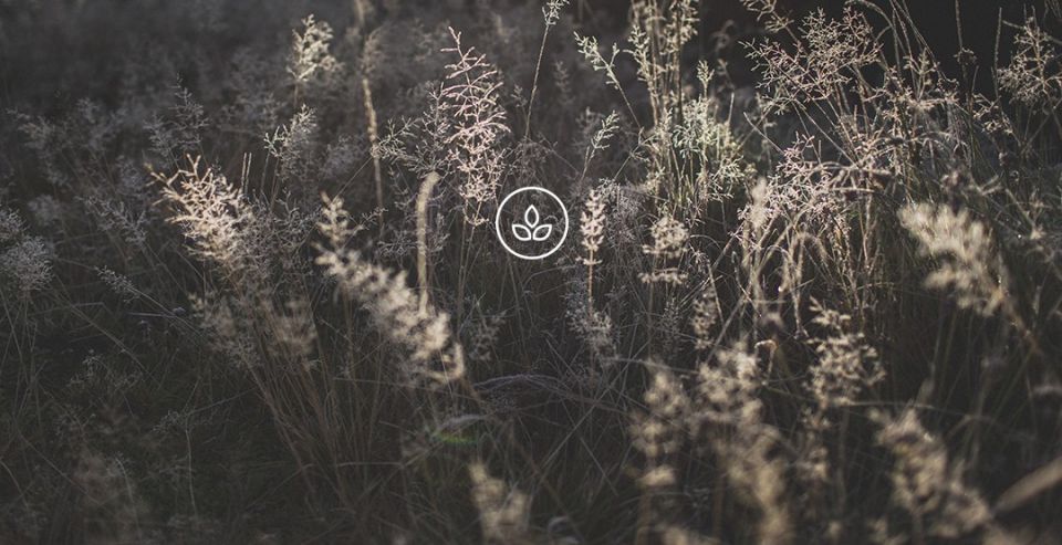 BeWooden -