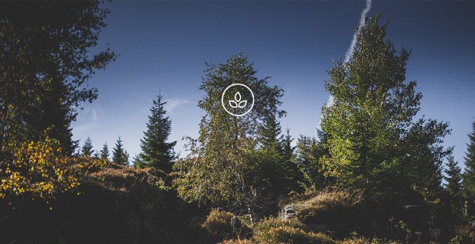 BeWooden - Naturpanorama