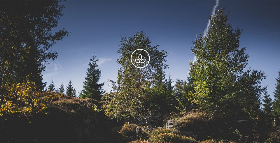 BeWooden - Naturpanorama