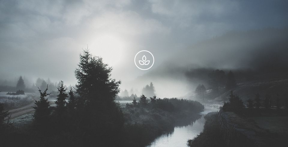 BeWooden - Naturpanorama