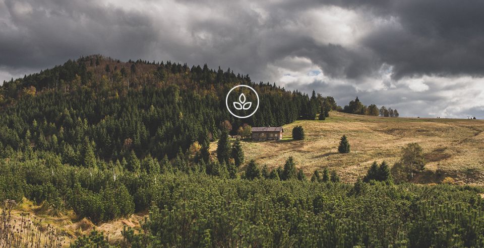 BeWooden - Naturpanorama