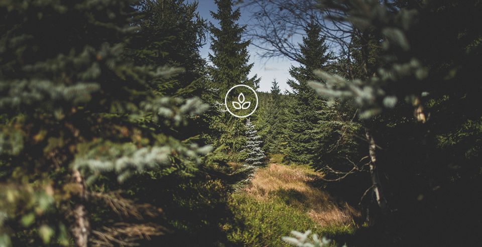 BeWooden - Naturpanorama