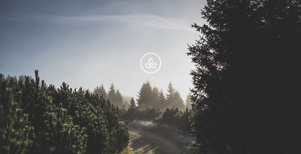BeWooden - Naturpanorama