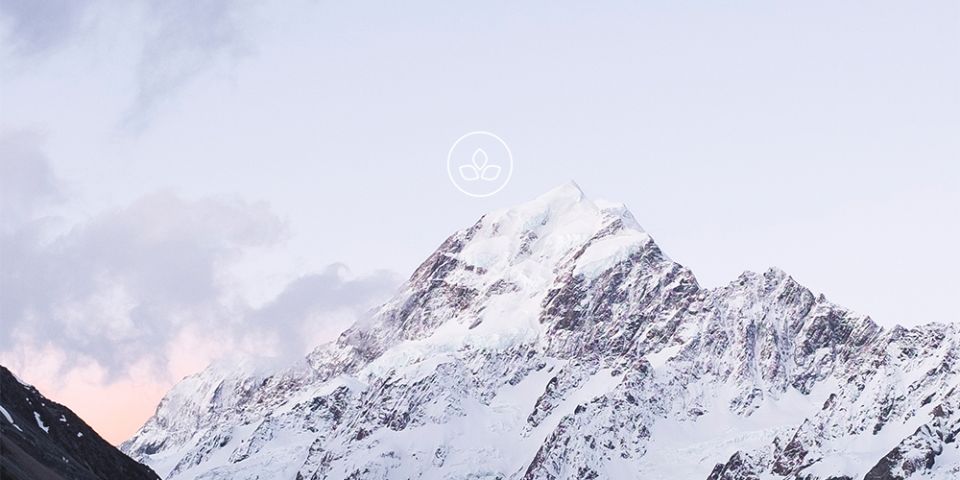 BeWooden -