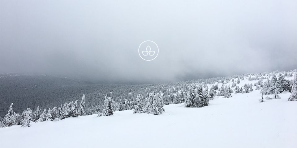 BeWooden -