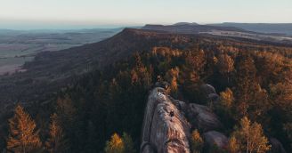 Warum Wälder ein wahrer Schatz sind