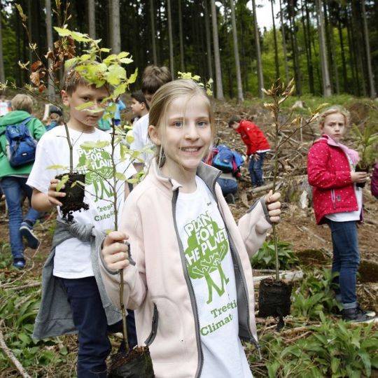BeWooden - Klimaneutral - was heißt das? BeWooden - Klimaneutral - was heißt das?
