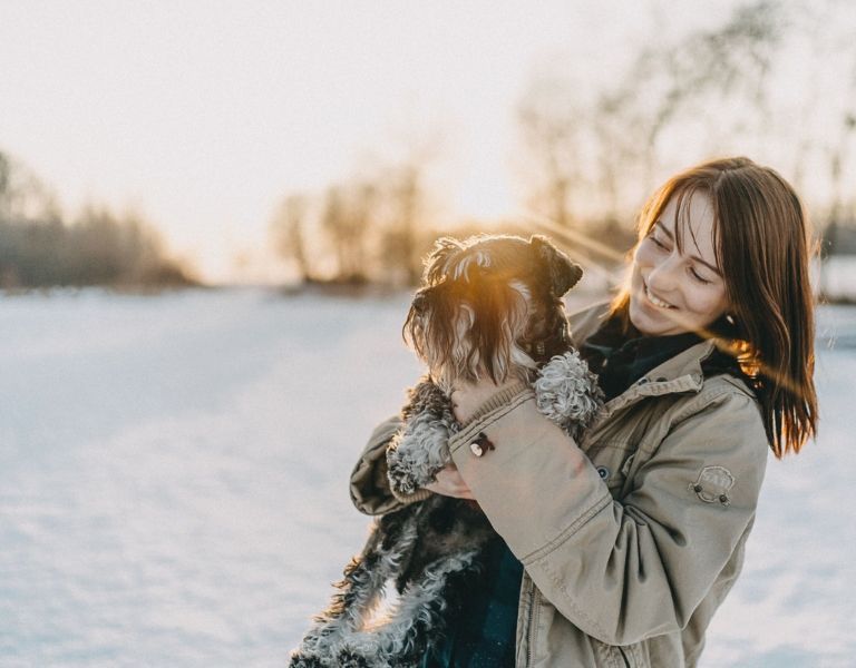 Hunde und Katzen