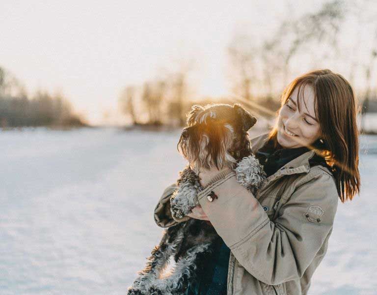 Hunde und Katzen