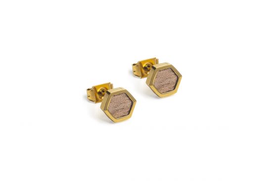 Metallohrringe Apis Earrings Hexagon