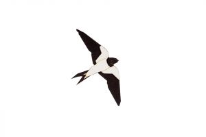 Holzbrosche Swallow Brooch