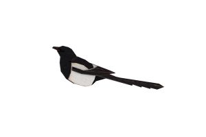 Holzbrosche Magpie Brooch