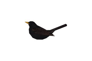 Holzbrosche Blackbird Brooch