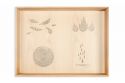 Spielbox mit Naturelementen