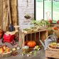 Garten-Erntespiel