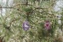 Ostern Skandi Eier – Holzdekoration