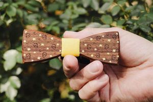 Holzfliege Der kleine Prinz