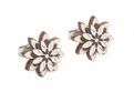 Holzohrringe Bellis Earrings
