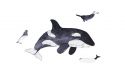 Mini Holzpuzzle – Orca – Von Epipi