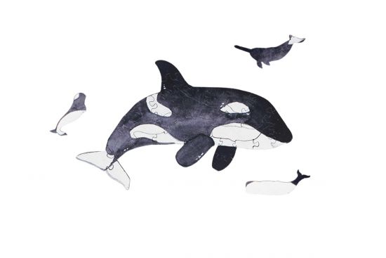 Mini Holzpuzzle – Orca – Von Epipi