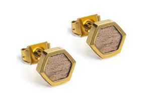 Metallohrringe Apis Earrings Hexagon