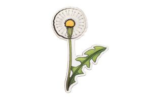 Holzbrosche Dandelion Brooch