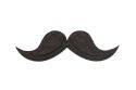 Holzbrosche Moustache Brooch