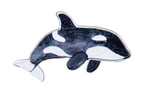 Holz-Brosche Orca – von Epipi