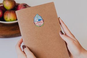 A5 Heft – Der brave Soldat Schwejk – Josef Lada ©