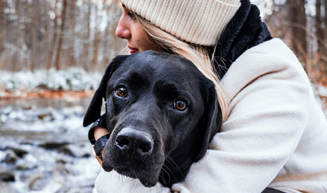 labrador_brooch